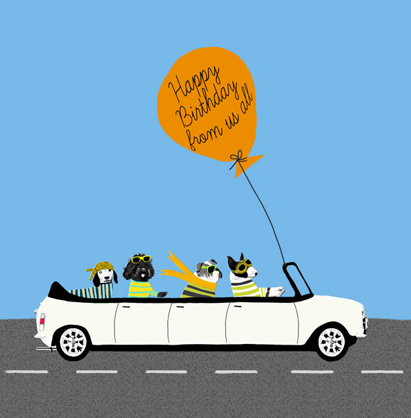 Four dogs in a stretch limo with a giant Birthday balloon.