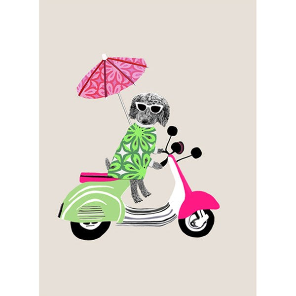 Cute Poodle on Scooter Card