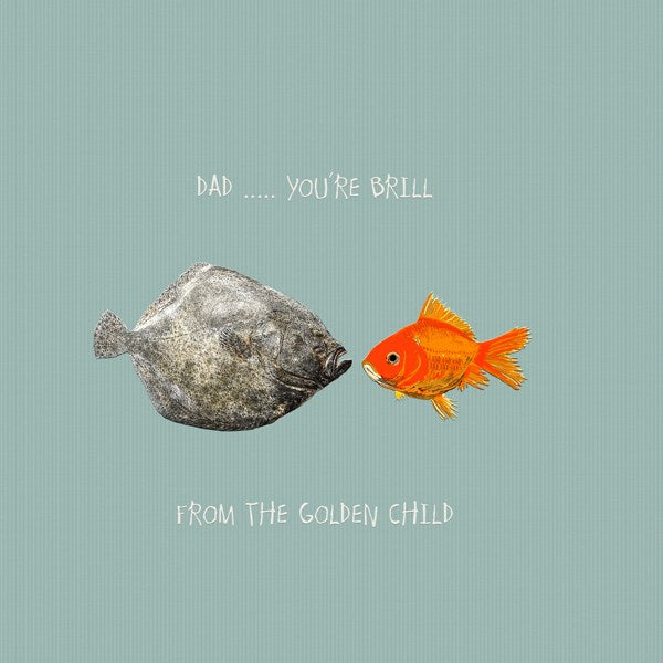 Baby goldfish with it&#39;s Dad fish