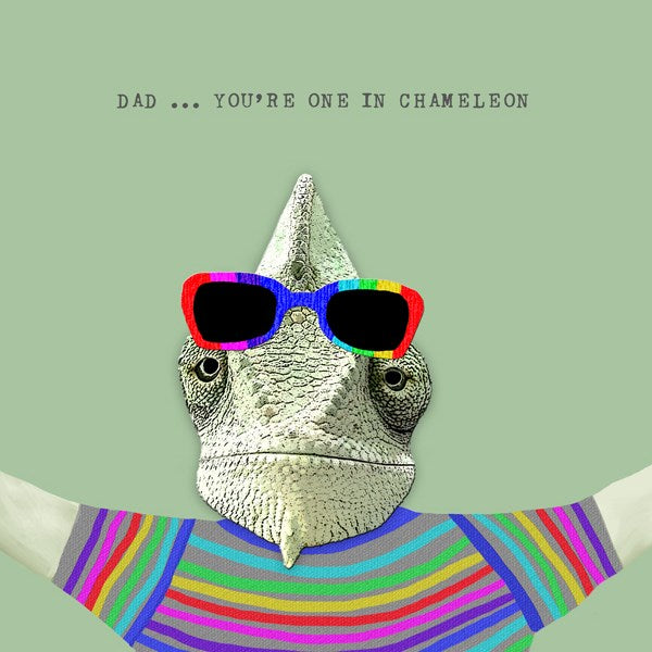 Chameleon dressed in a bright rainbow top and sunglasses.