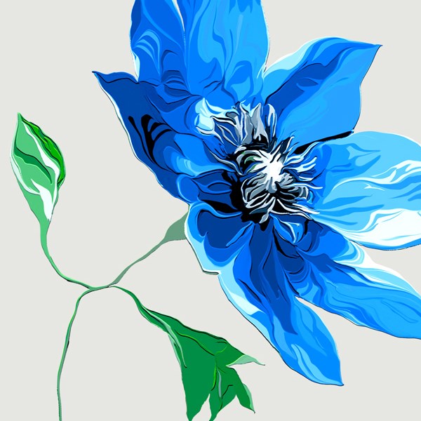 Blue Anenome Card for all Occasions
