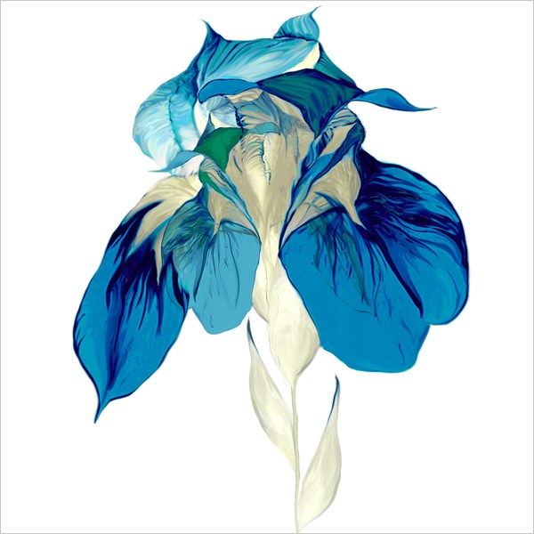 Blue Iris Card for all Occasions