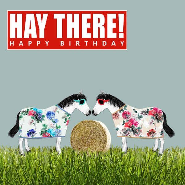 Hay There ... Horse themed Birthday card