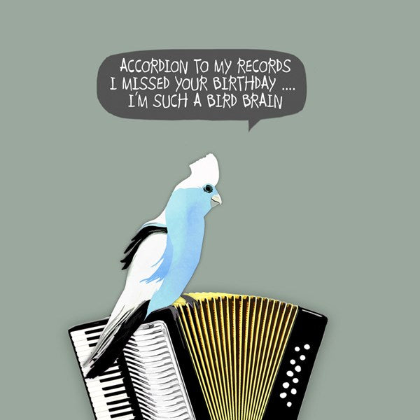 Blue budgie sat on an accordian.