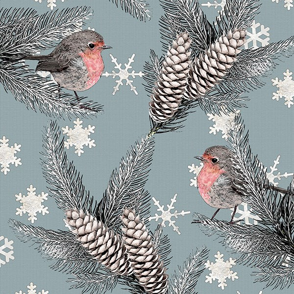 Robins & Snowflakes Card