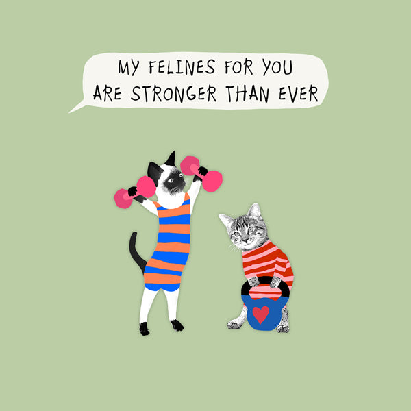 Funny Love Card for a long term partner for Anniversary, Valentines especially a cat lover