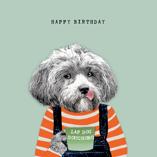 Cute dog with cup of tea with text Lap Dog Souchong. &#39;Happy Birthday&#39;