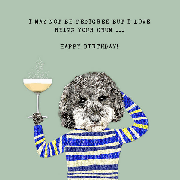 Doodle Dog with glass of fizz &#39;I may not be pedigree but I love being your chum ... Happy Birthday&#39;