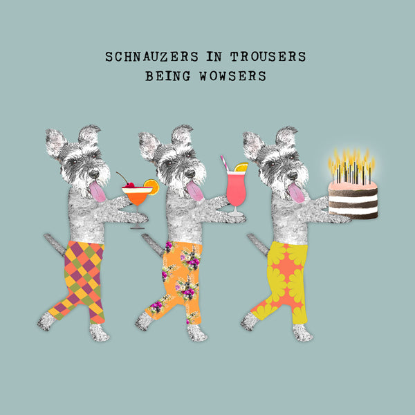 Schnauzers in trousers with cake and cocktails. &#39;Schnauzers in trousers being wowsers&#39;s