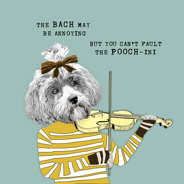 cute dog playing violin. &#39;the Bach may be annoying but you can&#39;t fault the poochini&#39;