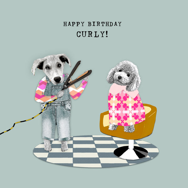 Curly haired dog with hairdresser with straighteners. &#39;Happy Birthday Curly&#39;
