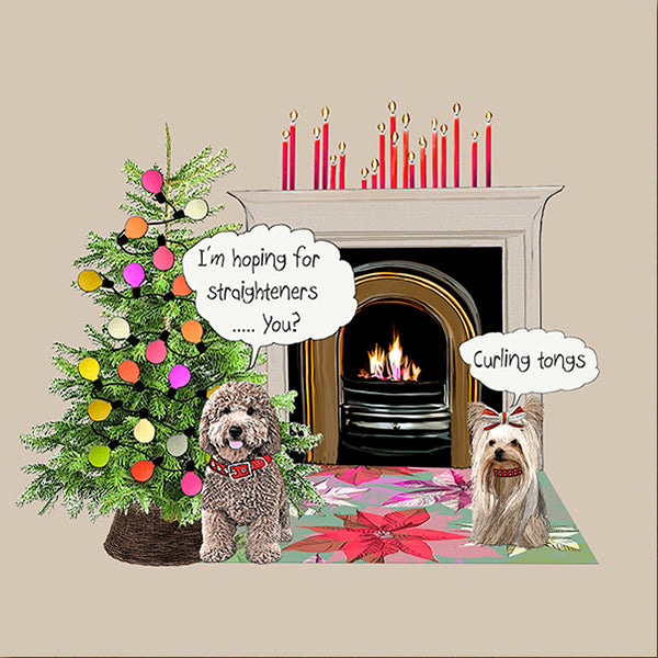 Funny Hairstyling Dogs Card