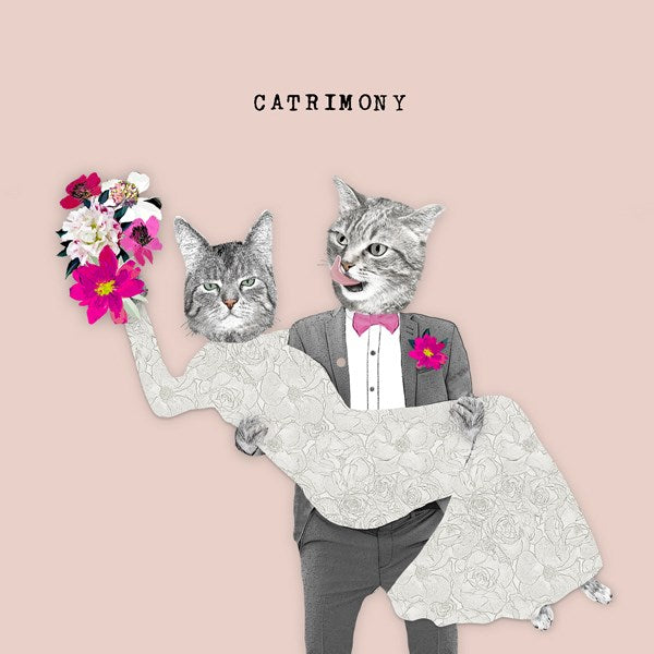 Cat groom carrying a cat bride.