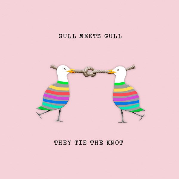 Two rainbow seagulls holding a knotted rope in their beaks.