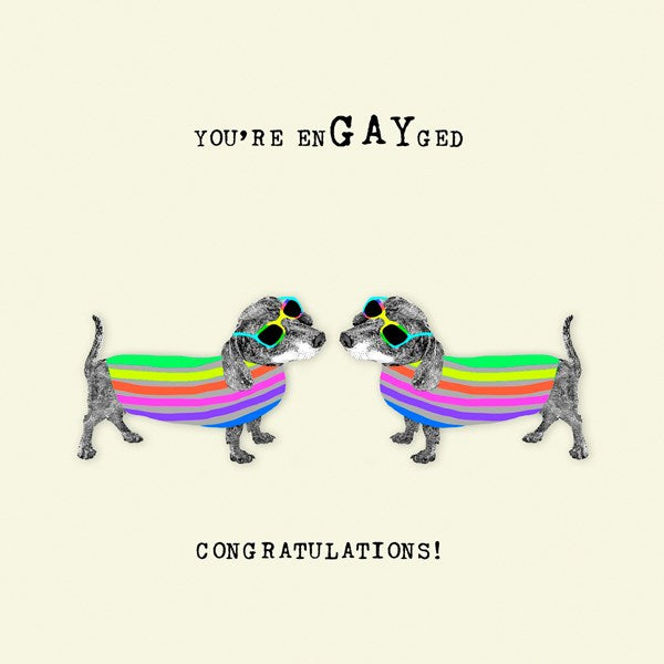 Two rainbow dachshunds wearing rainbow sunglasses.