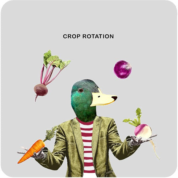 Crop Rotation  Coaster
