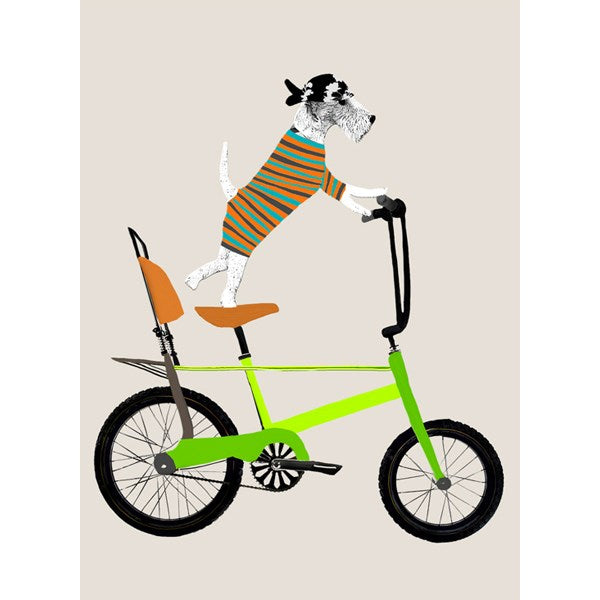 Fox Terrier on Chopper Bike