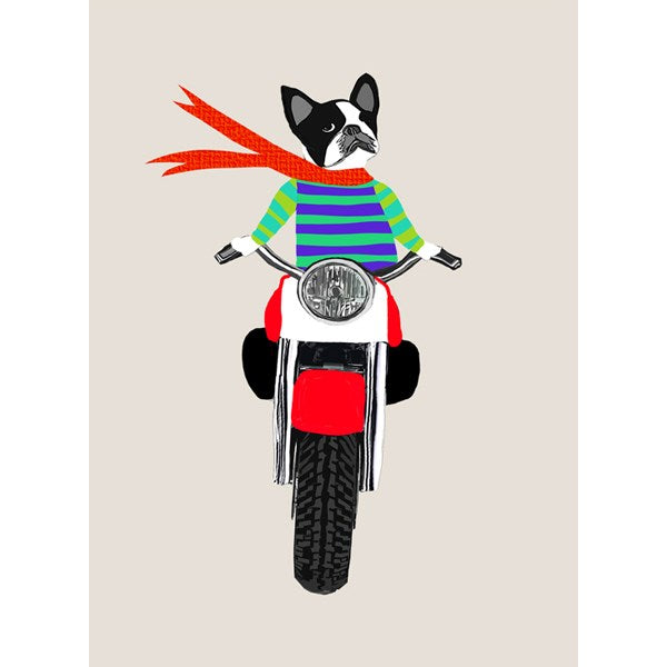 French Bulldog on Motorbike Card
