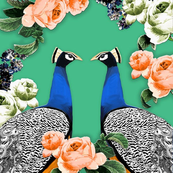 Peacock &amp; Roses Card for all Occasions
