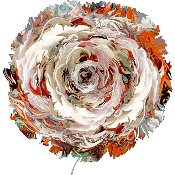 Multicoloured Rose Art Card for all Occasions
