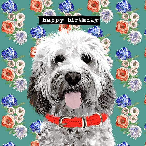 Birthday Card for dog lover, cockerpoo etc
