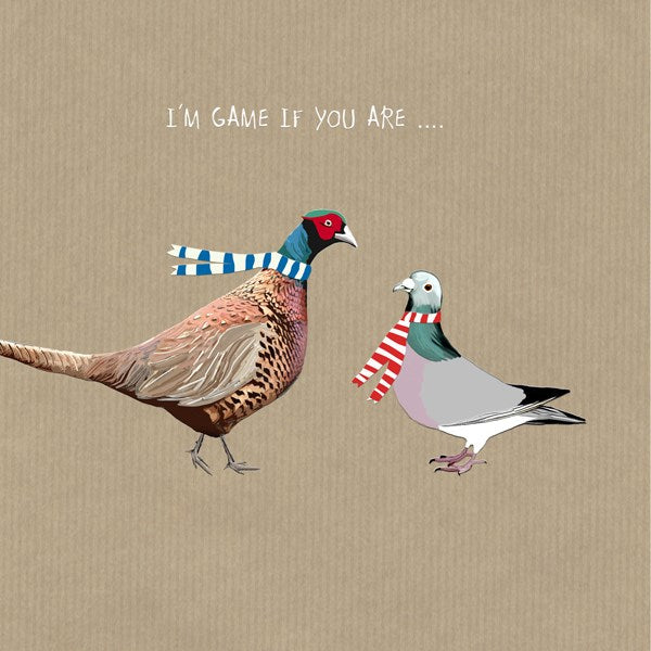 Pheasant wearing and blue and white scarf and a pigeon wearing a red and white striped scarf.