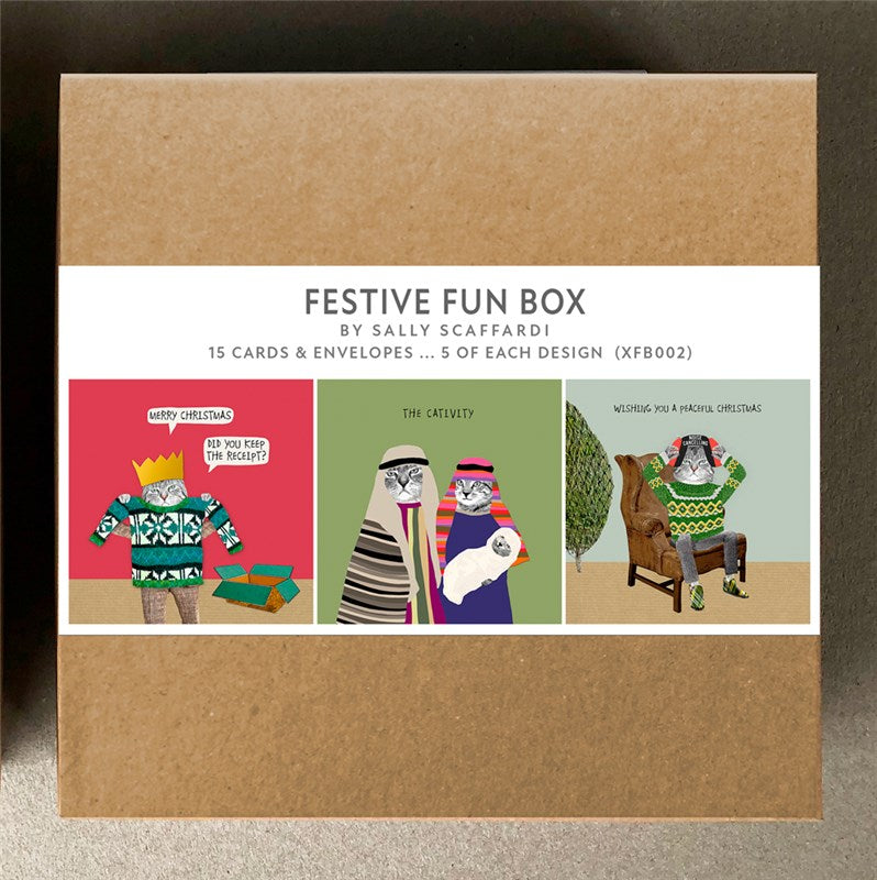 Cats Festive Fun Box