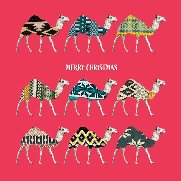 Camels in Christmas Jumpers Card